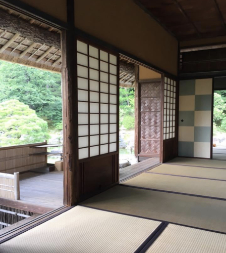八月に入りました_a0197730_09515455.jpeg
