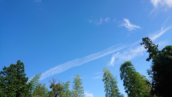 大きなお試しがきた時には?***_e0290872_22374420.jpg