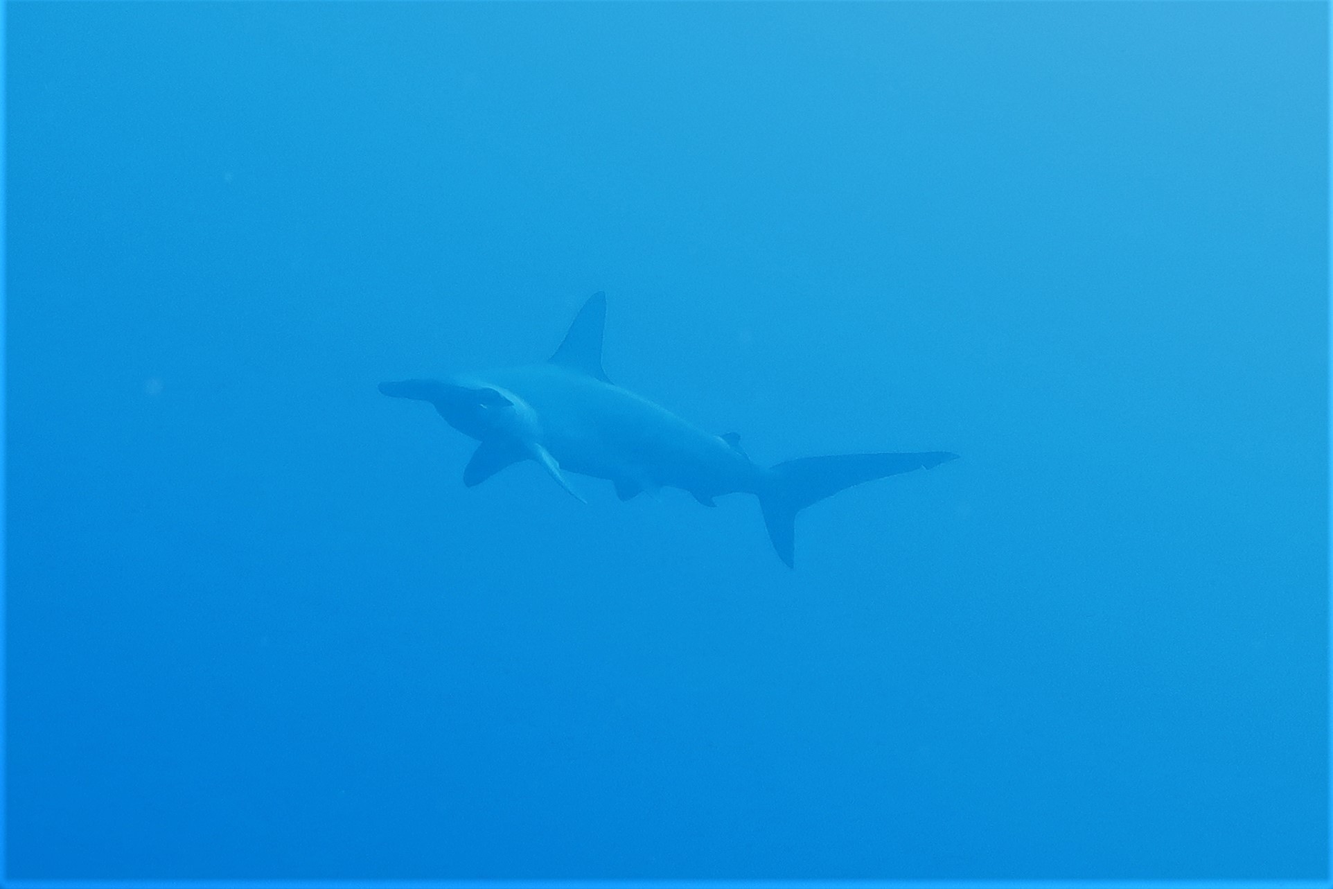 210801 島周り最強説？_a0335173_18290141.jpg