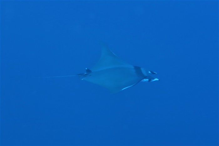 210801 島周り最強説？_a0335173_18290666.jpg