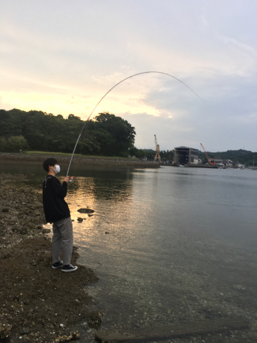 チヌ釣りサラブレッド現る 天草の磯を釣ろう