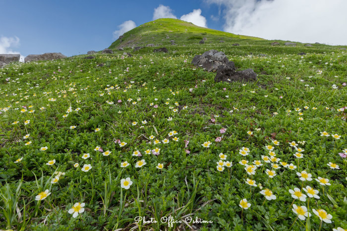花園_f0361287_22491665.jpg