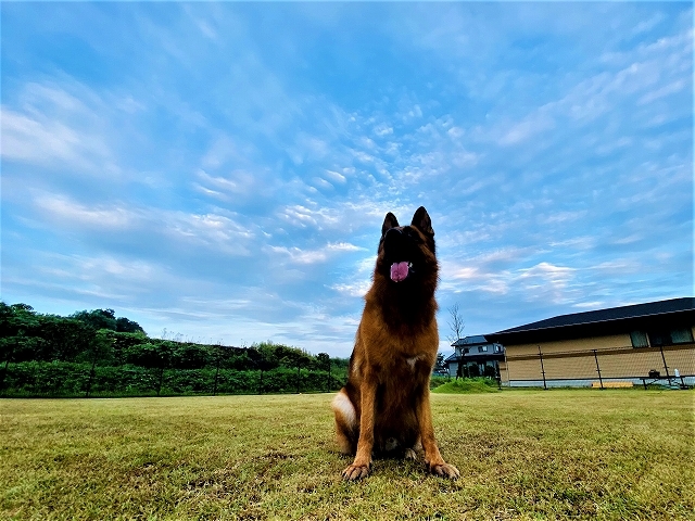 出会いと別れの八月_d0360206_21083042.jpg