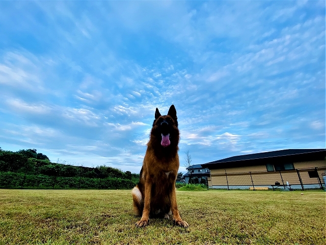 出会いと別れの八月_d0360206_21083401.jpg