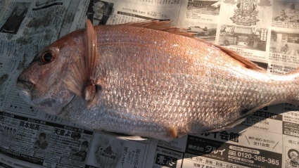 ととやのもと、魚屋の娘が初チャレンジ😆_c0280108_21352551.jpg
