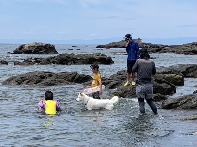 三浦半島長浜海岸の海水浴 21年8月 散歩ガイド