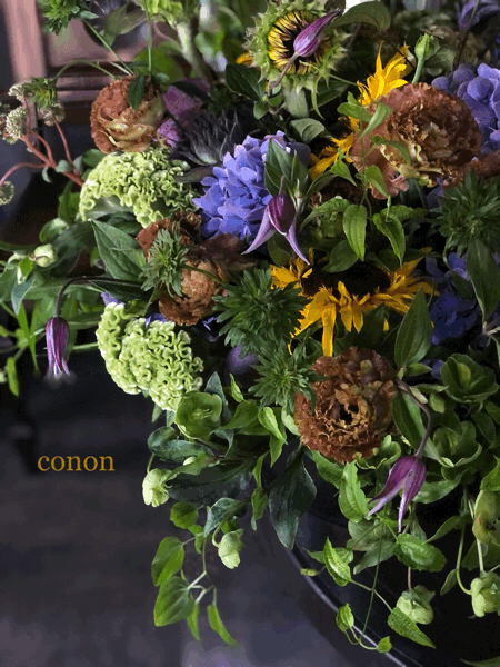 暮らしに花を 木 音 Conon 暮らしに花を 木 音 Conon