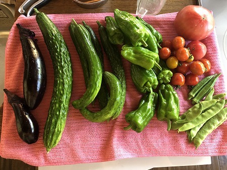 野菜作り・・ここんところの収穫_d0251572_23424624.jpg