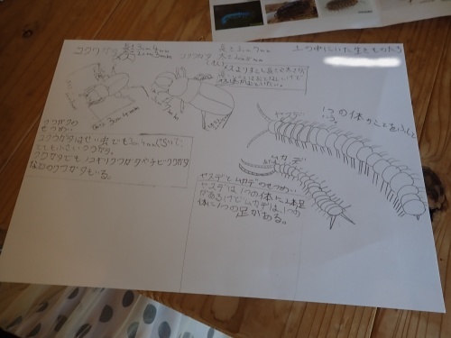 7/24（土）～25（日）「親子で虫キャンプ」開催しました！報告その⑤_f0212679_14283176.jpg