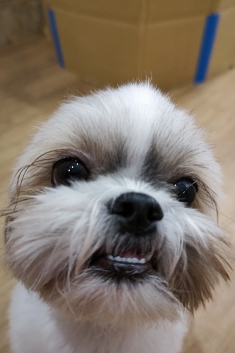 どあっぷ💗_f0357682_14323450.jpg