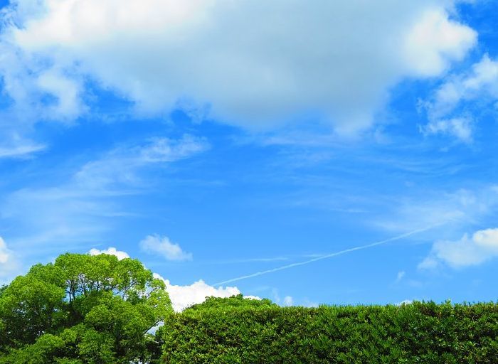 21年8月3日 夏の空 今日の風に吹かれましょう