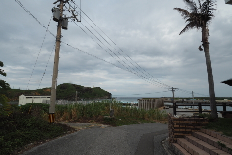 8月3日 今日も暑さは和らいでいます_d0113459_16530467.jpg