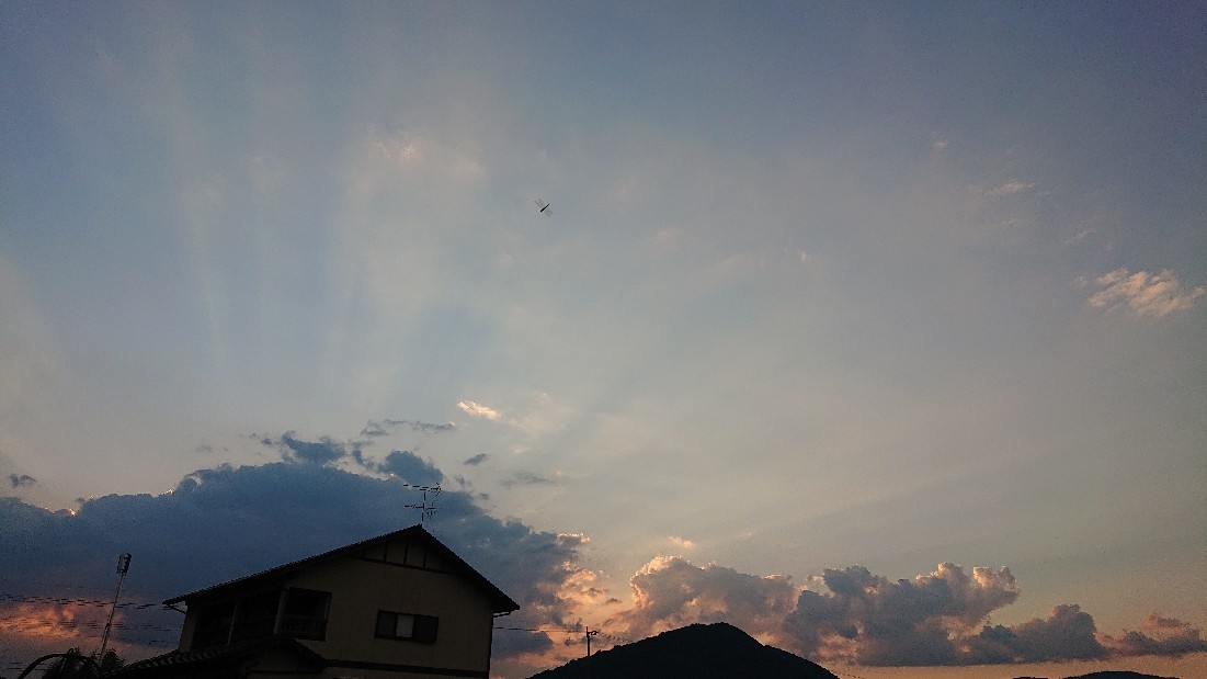 天からのギフト***_e0290872_21194374.jpg