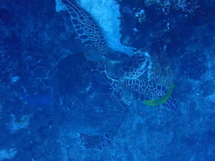 210803 南島周りでまったりと…_a0335173_17044323.jpg