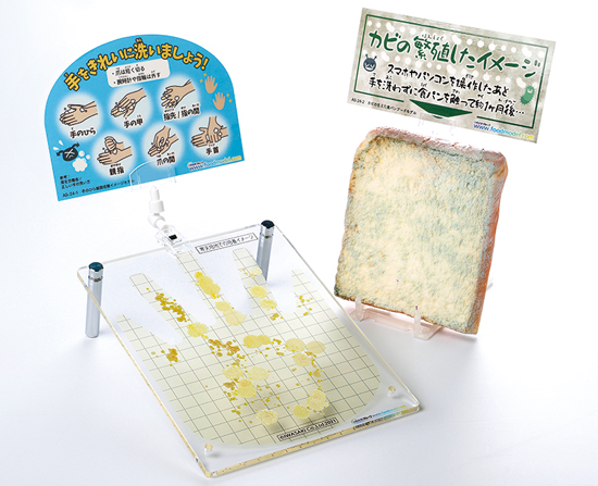 手のひら細菌培養イメージモデル(カビの生えた食パン付)新発売_b0082979_16490426.jpg