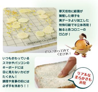 手のひら細菌培養イメージモデル(カビの生えた食パン付)新発売_b0082979_16490491.jpg