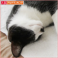 すごいお顔_a0389088_16582899.jpg