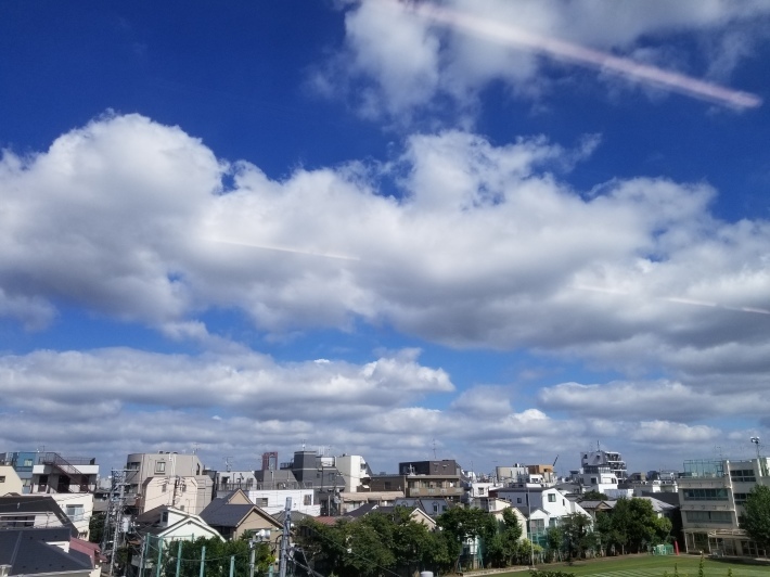 名前を覚える_e0016828_08524728.jpg