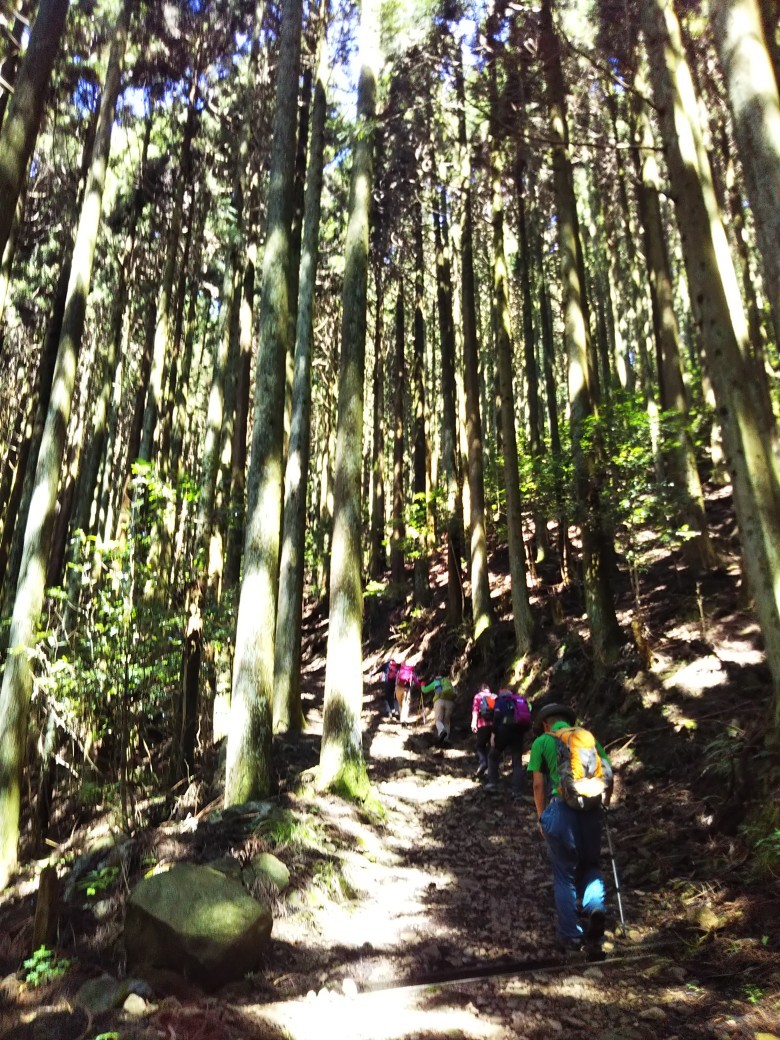 播磨富士 笠形山_c0218841_19405683.jpg