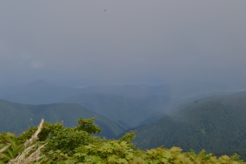 薬師岳－小杉山－和賀岳（２０２１・７・３０）_a0296449_16111489.jpg