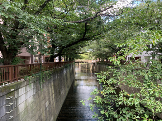 夏休みのお知らせ_c0133561_22320636.jpeg