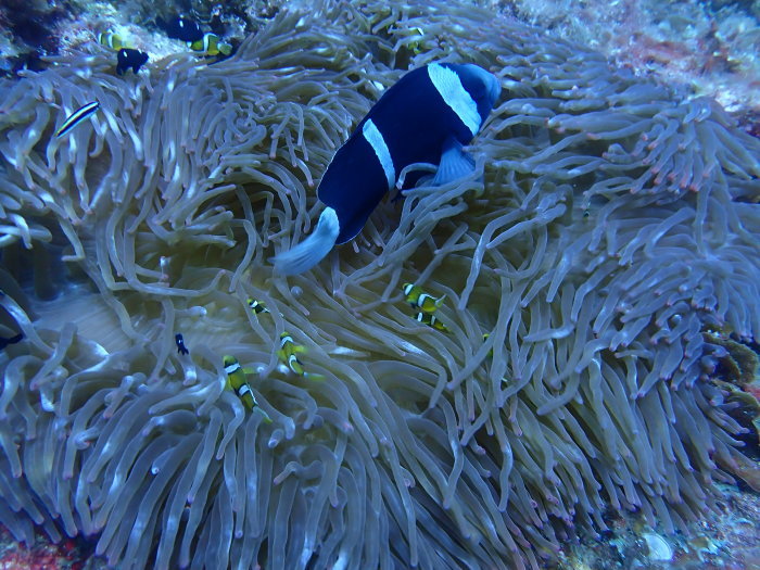 210804 見えるけど撮れないもどかしさ_a0335173_13402050.jpg