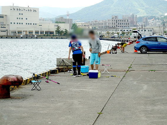 2年ぶりに来る孫の釣りのために巡った小樽港の釣り状況 たどり着いたら いつもチカ釣り