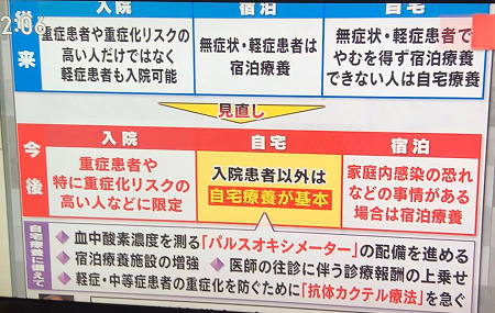 感染爆発には棄民政策で対応 - 上級に必要な医療を提供、下級は入院制限する_c0315619_14351668.png