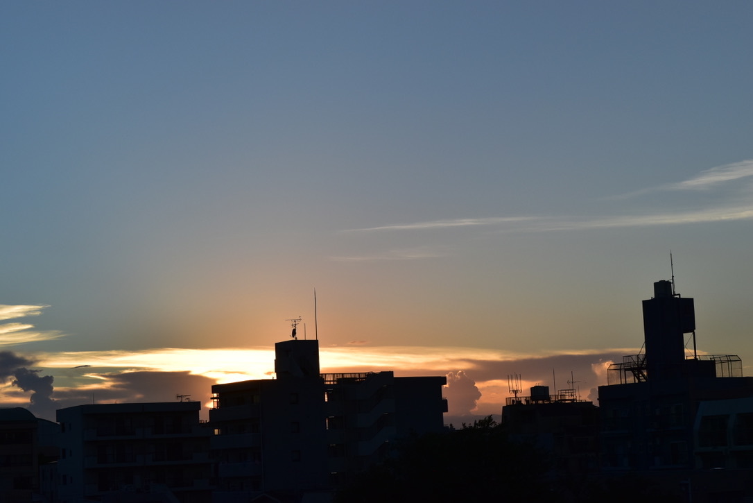 鮭の西京味噌漬け焼きと夏の焼きとうもろこしと夏の夕暮れ_e0407044_17322802.jpeg