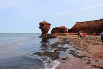 Teacup Rock 2021　その1_c0353373_01153152.jpg