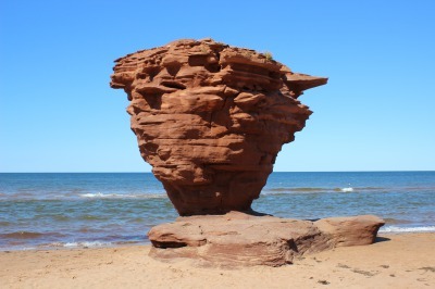Teacup Rock 2021　その1_c0353373_01191486.jpg