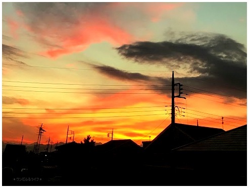 * 夕焼け空 *_d0317115_21335276.jpg