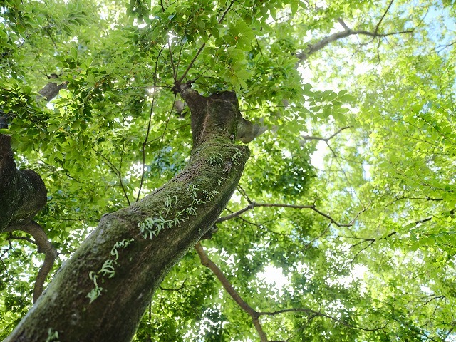 夏休みを有意義に過ごしましょ_f0221724_17355619.jpg