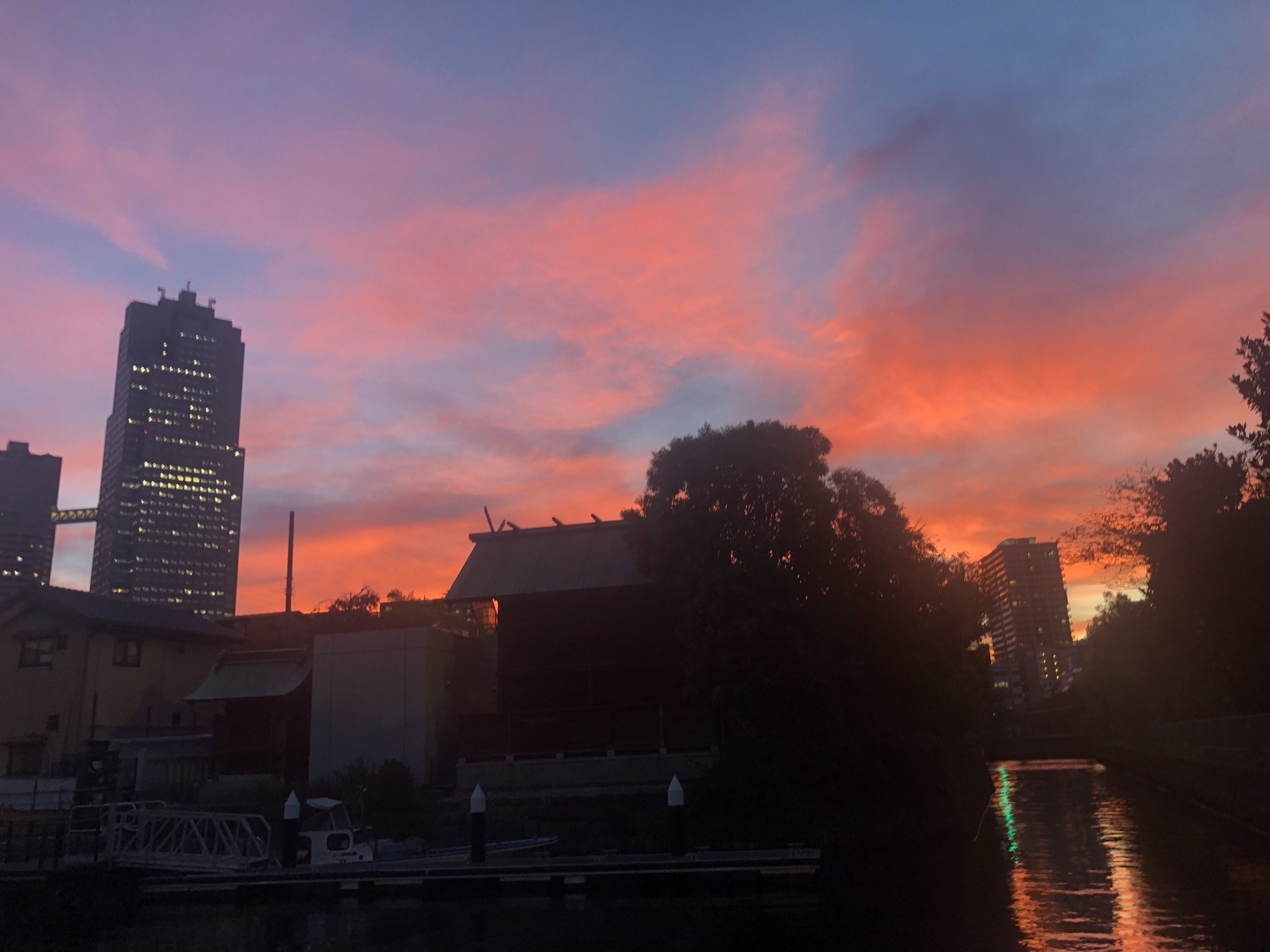 ピンク色の夕焼け空からミッドナイトブルーの空に変化 やさしい光のなかで ピンク色の夕焼け空からミッドナイトブルーの空に変化 やさしい光のなかで