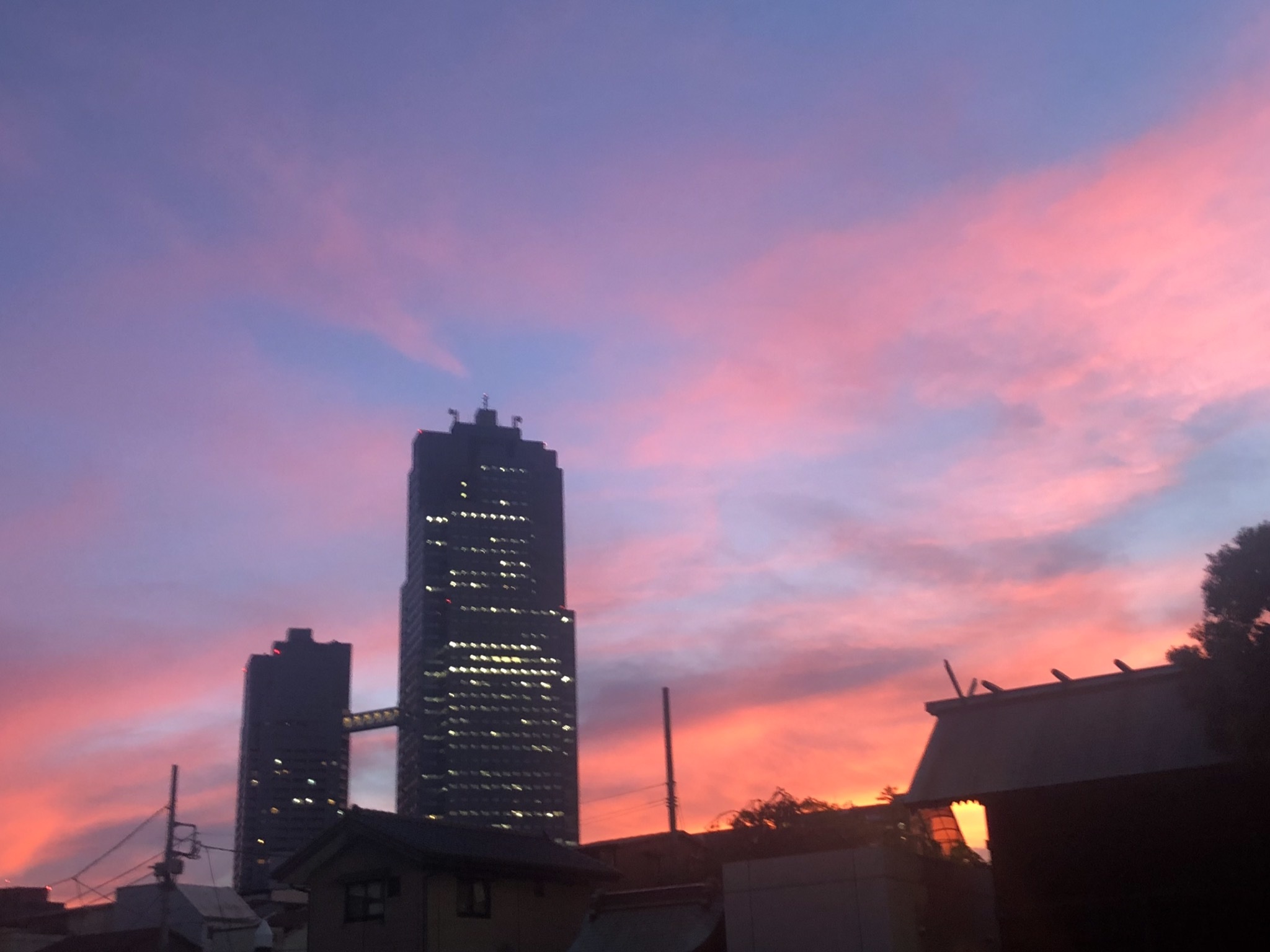 ピンク色の夕焼け空からミッドナイトブルーの空に変化 やさしい光のなかで