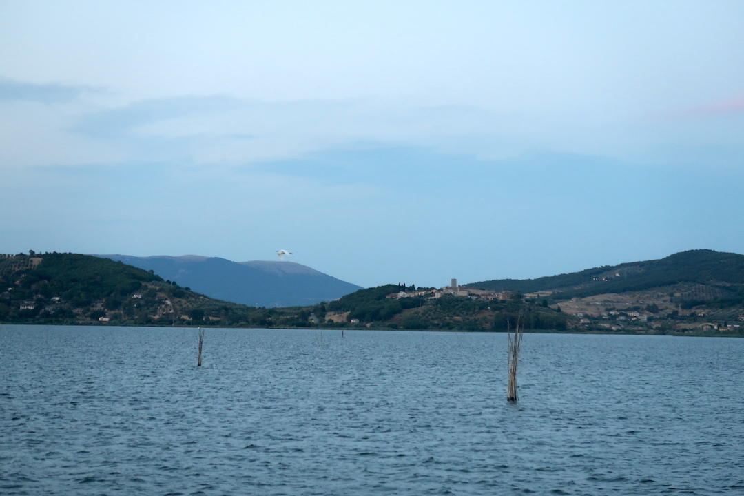 茜色の残る西へトラジメーノ湖をシラサギがゆく_f0234936_07054820.jpg