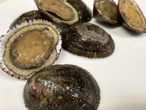 マツバガイ イル レオーネ 千林大宮駅近くのシェフソムリエのブログ