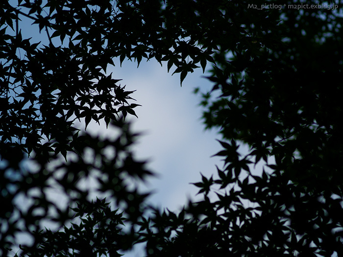 型(カタ)_e0097970_21474748.jpg