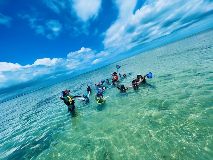 夏のあおぞら学童クラブ 8 6 中城の海はとってもきれいでした 台風と台風の間で穏やかでどこまでも透き通った海へ ねこんちゅ通信 ネコのわくわく自然教室