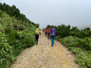 山でカミナモノポールを張ってみた_d0198793_16214932.jpeg