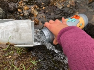 山でカミナモノポールを張ってみた_d0198793_16440716.jpeg