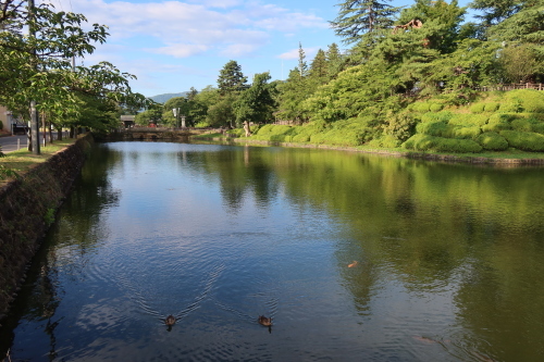 朝の散歩は松が岬公園　２０２１．８．７_c0075701_06472714.jpg