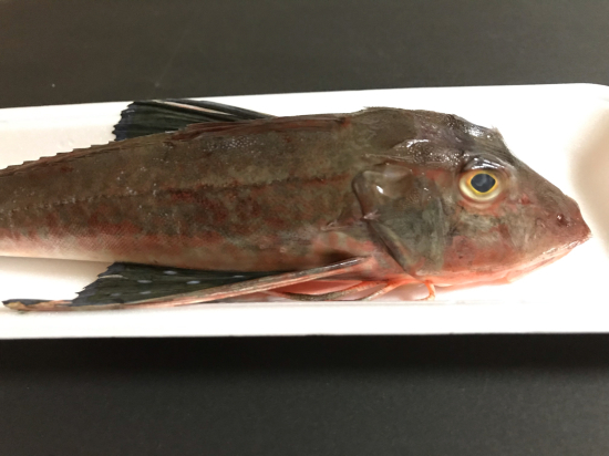 ほうぼうの煮付け リベンジ ぼっちオバサン食堂