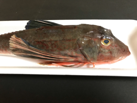 ほうぼうの煮付け リベンジ ぼっちオバサン食堂