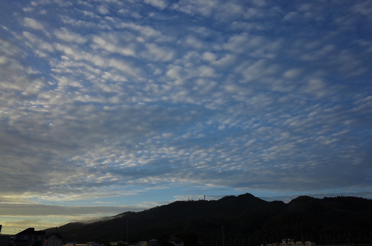 秋空（蕃山）_b0050305_08105866.jpg