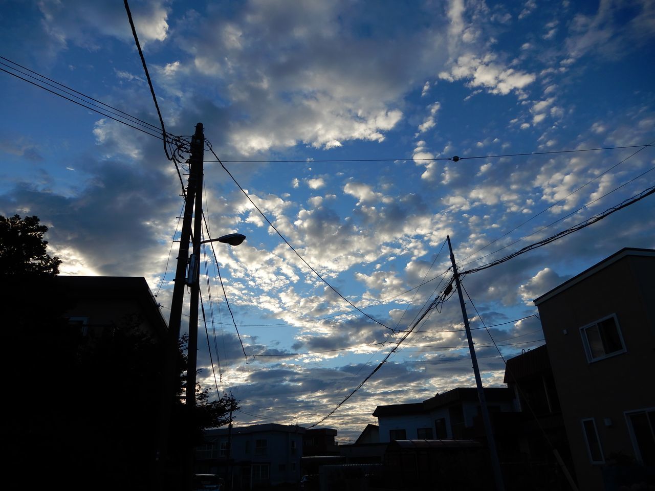 この夏4回目の熱帯夜から目覚めたら女子マラソンが市内を走っていた(暦は立秋)_c0025115_21532817.jpg