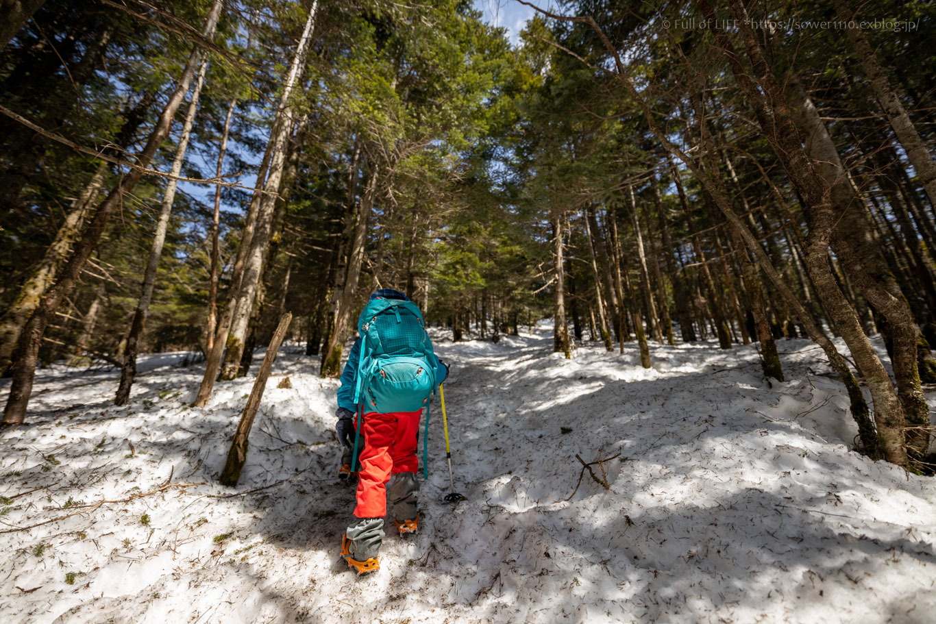 北八ヶ岳雪山登山に挑戦！「茶臼山」山頂へ_c0369219_15421737.jpg