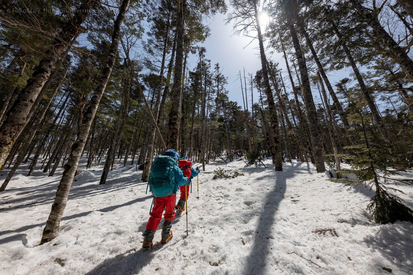 北八ヶ岳雪山登山に挑戦！「茶臼山」山頂へ_c0369219_16381306.jpg