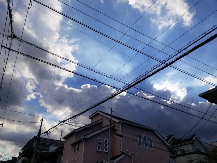 一匹の病み呆けた星_e0016828_13013273.jpg