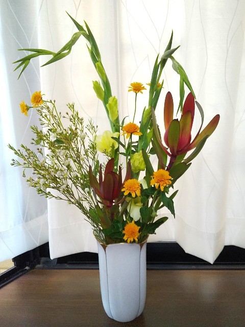 真夏の花とセミと叫び声 十色生活